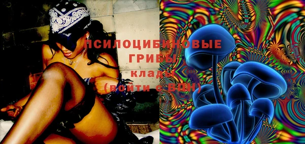 дмт Краснослободск