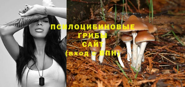 дмт Краснослободск